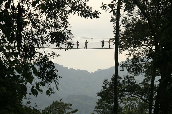7-Day Private Rwanda Adventure: Gorilla Trekking, Chimpanzee Encounters & Cultural Trails photo 3