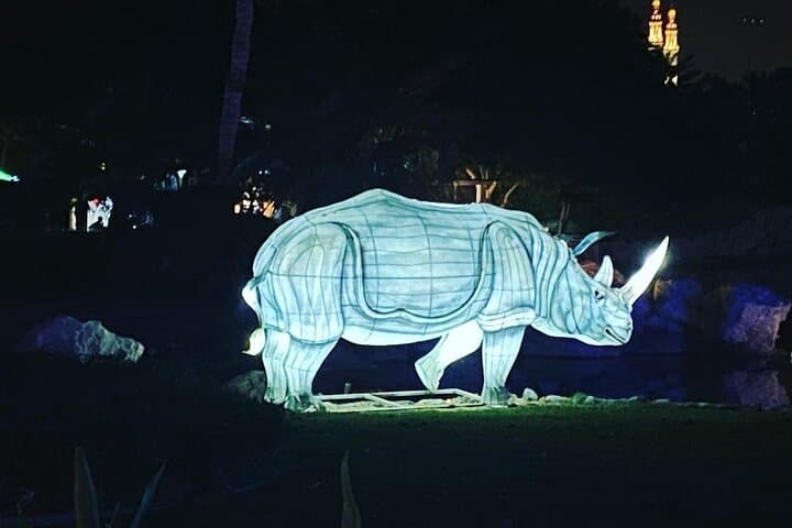 Dubai Glow Garden: Glow-in-the-Dark Garden, Dino & Magic Park Combo Experience photo 4