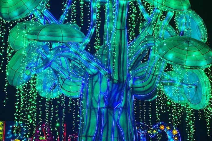 Dubai Glow Garden: Glow-in-the-Dark Garden, Dino & Magic Park Combo Experience photo 6