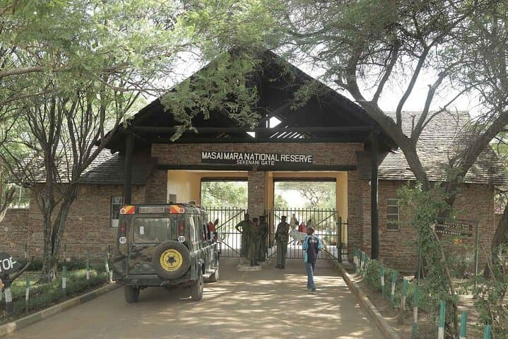 Nairobi to Maasai Mara Day Safari: Full-Day Open 4x4 Game Drive photo 1