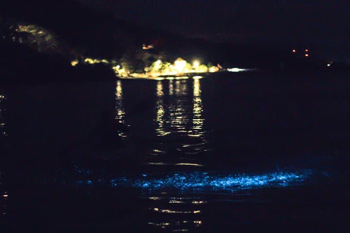 Night Kayaking the Bioluminescent Bays of Nicoya Peninsula photo 2