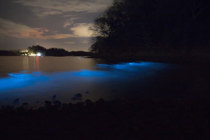 Night Kayaking the Bioluminescent Bays of Nicoya Peninsula photo 4