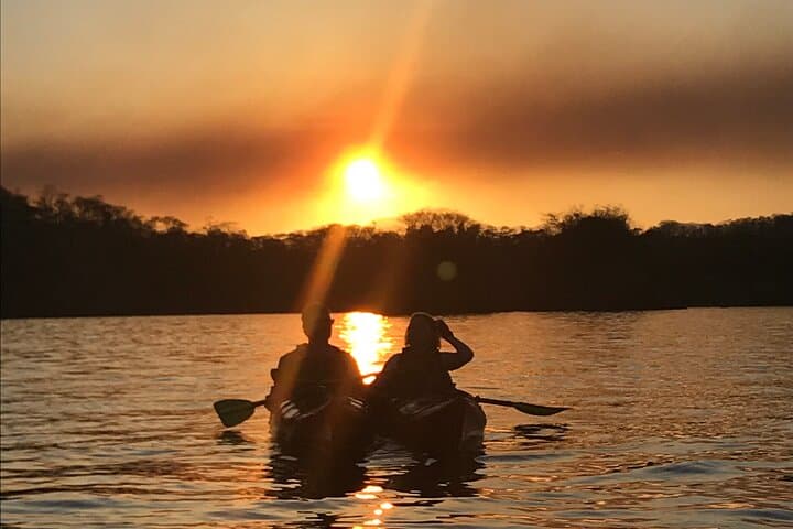 Night Kayaking the Bioluminescent Bays of Nicoya Peninsula photo 6