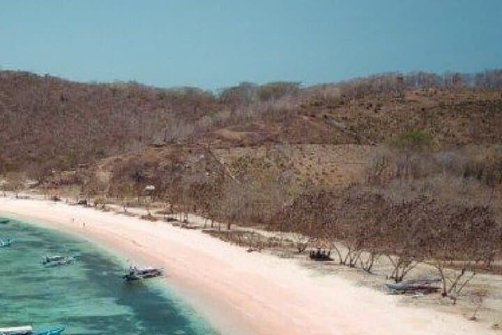 Sekotong & Pink Beach Day Trip — Snorkel the Gili Islands from Tawun Harbour photo 5
