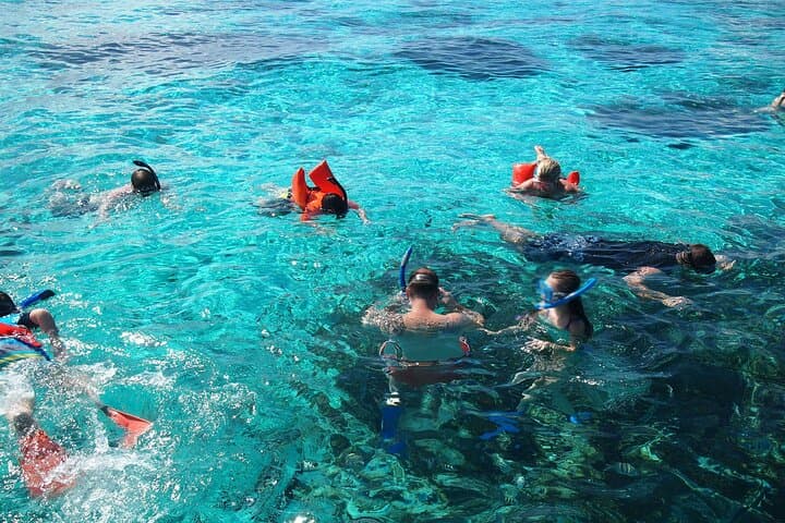 Stingray City Private Charters: Swim with Southern Stingrays & Snorkel the Barrier Reef