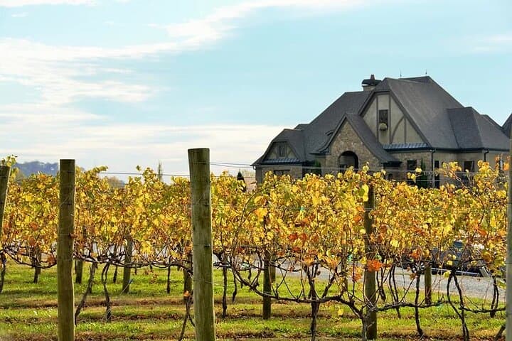Full-Day North Georgia Wine Country Tasting Tour from Atlanta photo 4