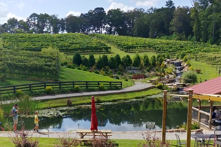 Half-Day North Georgia Wine Tasting Tour from Atlanta photo 6
