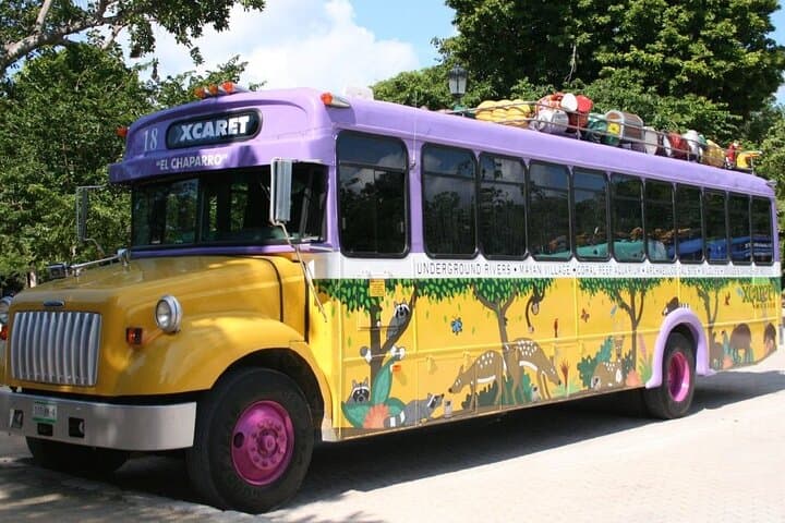 Xcaret Plus: Full-Day Eco‑Archaeological Park with Transportation from Cancun photo 4