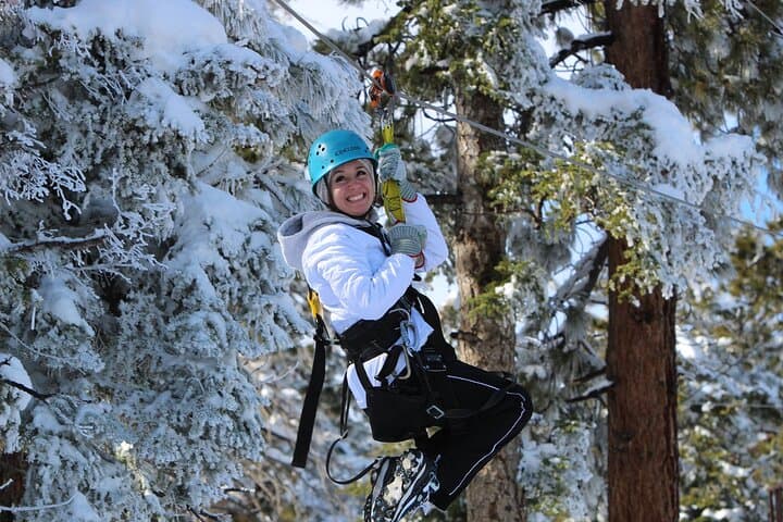Big Bear High-Speed Zipline Tour: 9 Ziplines & Suspension Bridge Adventure photo 6