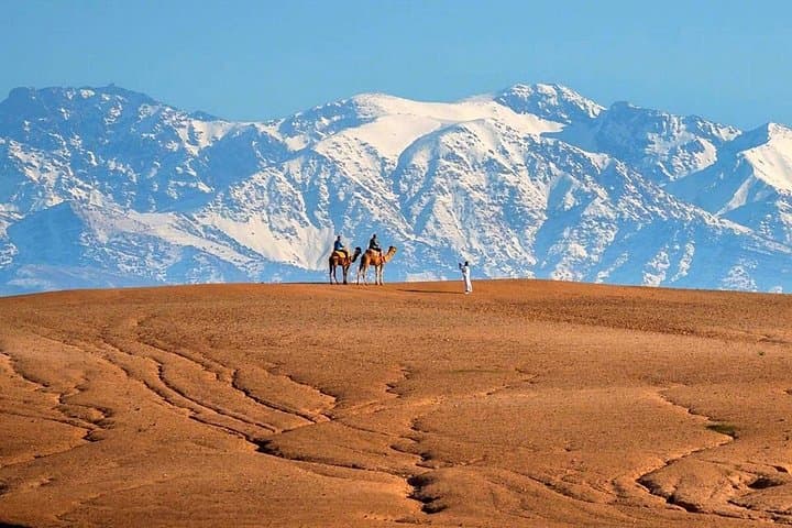 Atlas Mountains Day Trip: Imlil, Berber Villages & Waterfalls with Camel Ride photo 4