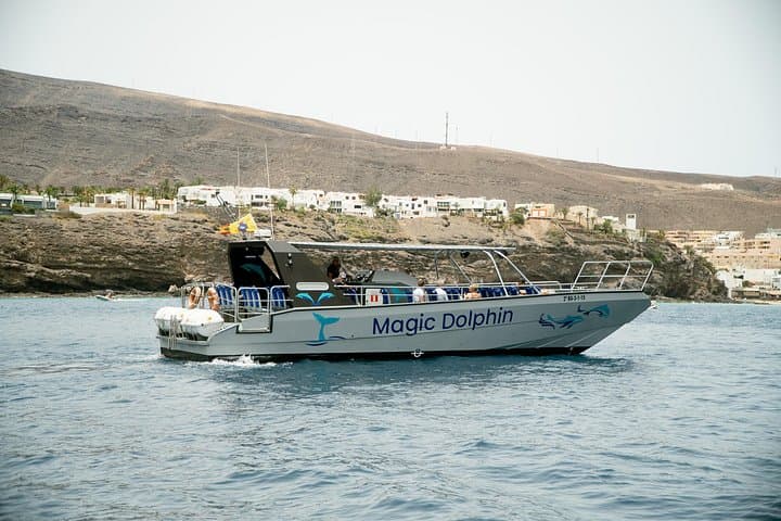 Dolphin Watching in Fuerteventura: 2-Hour Boat Tour from Morro Jable photo 4