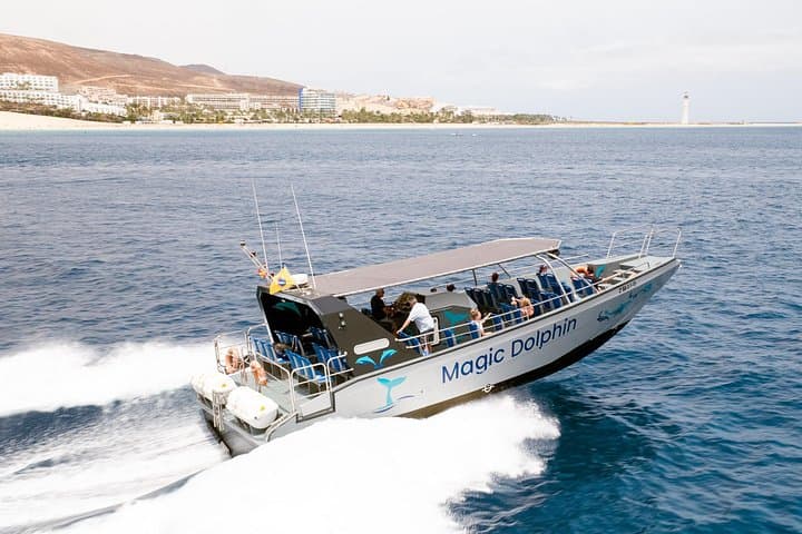 Dolphin Watching in Fuerteventura: 2-Hour Boat Tour from Morro Jable photo 1