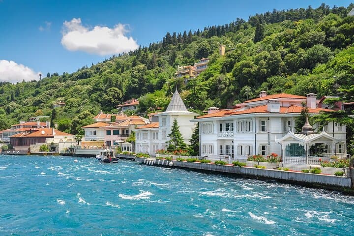 Princes Islands Day Cruise from Istanbul: Büyükada & Heybeliada with Lunch