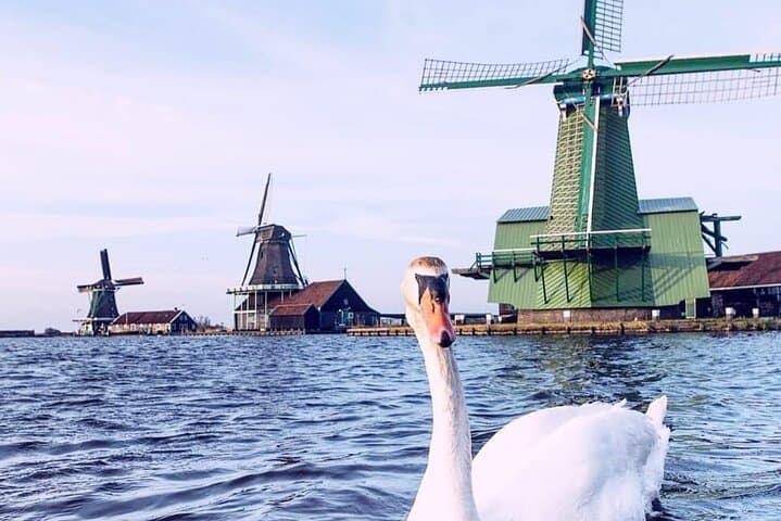Zaanse Schans Windmills, Countryside & Fishing Villages Day Tour from Amsterdam