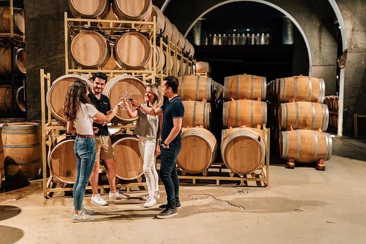 Segovia & Ribera del Duero Day Tour: Wine Tasting and UNESCO Sights from Madrid photo 3