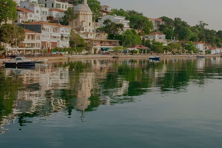 Princes Islands Day Cruise from Istanbul: Büyükada & Heybeliada with Lunch photo 6