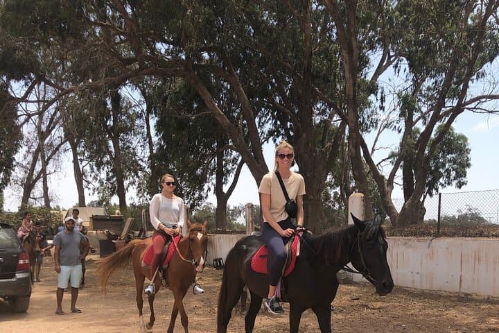 Horse Riding Agadir: Eucalyptus Forest & Souss-Massa River Ride photo 4