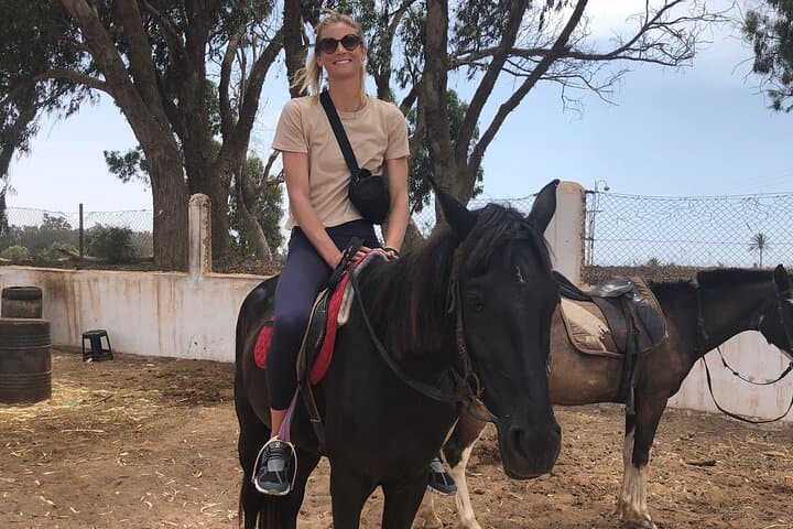 Horse Riding Agadir: Eucalyptus Forest & Souss-Massa River Ride photo 5