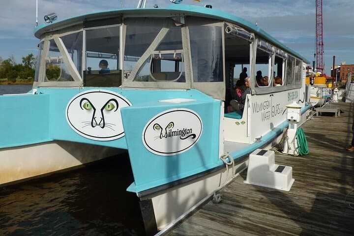 Black Water Adventure Cruise on the Northeast Cape Fear River — Wilmington Wildlife & History