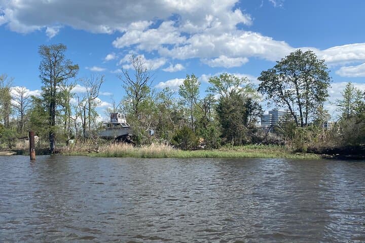 Black Water Adventure Cruise on the Northeast Cape Fear River — Wilmington Wildlife & History photo 4