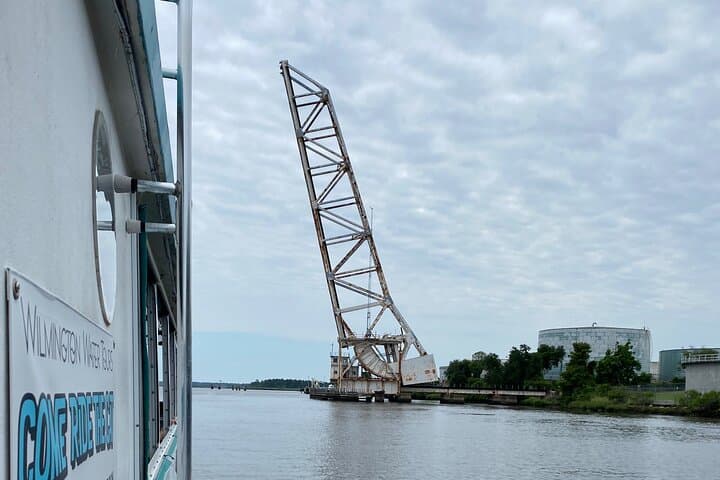 Black Water Adventure Cruise on the Northeast Cape Fear River — Wilmington Wildlife & History photo 5