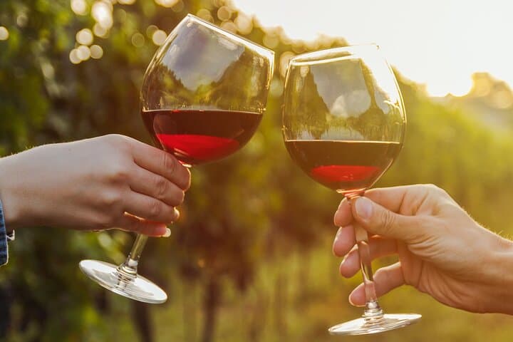 High Desert Wine Tasting Tour in Sonoita & Elgin — Tucson Day Trip photo 1