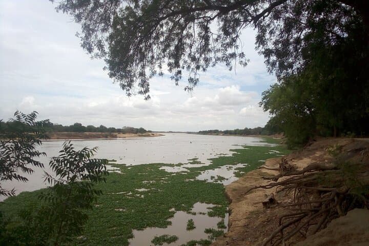 Elephant Rock & Doughia Day Tour from N'Djamena — Dandi's Riverine Rockscape photo 3