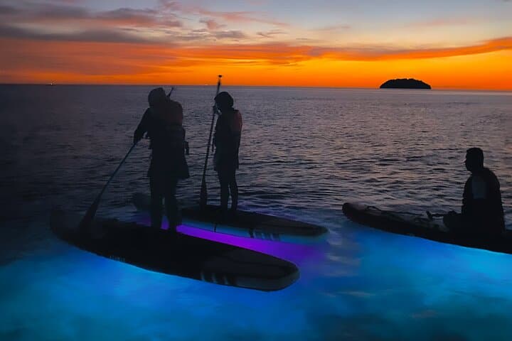 Night Glow Stand Up Paddle in Kota Kinabalu — LED‑Lit Twilight SUP Adventure photo 2