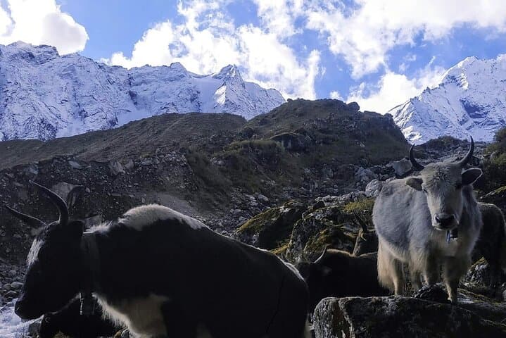 Manaslu Circuit Trek: Himalayan Loop Over Larkya La from Kathmandu photo 3