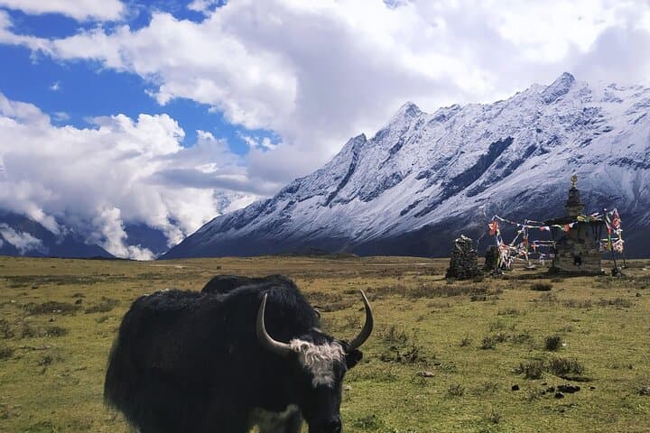 Manaslu Circuit Trek: Himalayan Loop Over Larkya La from Kathmandu photo 5