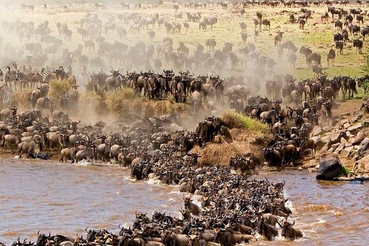 Great Migration Safari: Serengeti River Crossings & Epic Wildlife Viewing