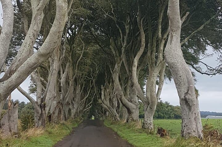 Private Antrim Coast Tour: Giant's Causeway & Game of Thrones Filming Locations photo 3