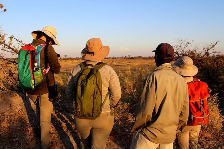 3-Day Okavango Mokoro Safari from Maun — Canoe the Delta & Guided Nature Walks photo 2