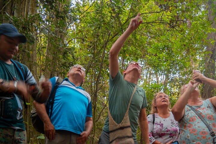 Guayaquil to Churute: Mangrove Canoe and Howler Monkey Hike photo 4