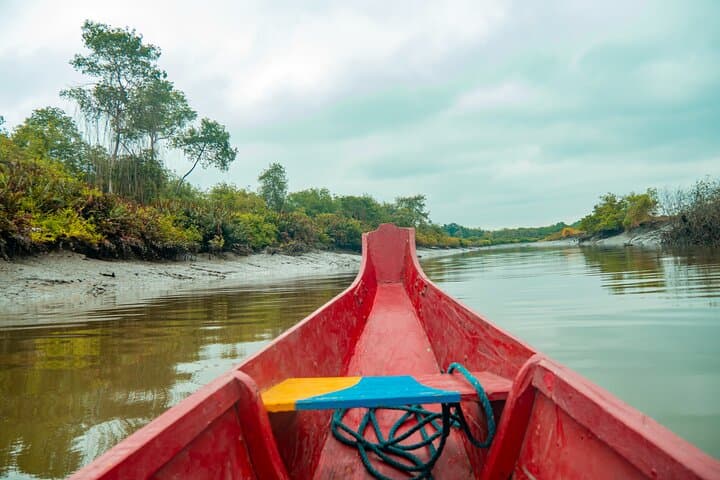 Howling Monkeys of Cerro Blanco: Private Guided Tour from Guayaquil photo 4