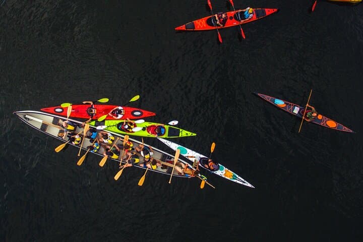 Stockholm Big Canoe Adventure: Bogesund Group Canoeing & Sauna