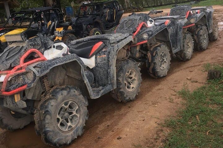 Punta Cana Buggy & Polaris Adventure: Macao Beach, Taina Cave & Coffee Tasting photo 4