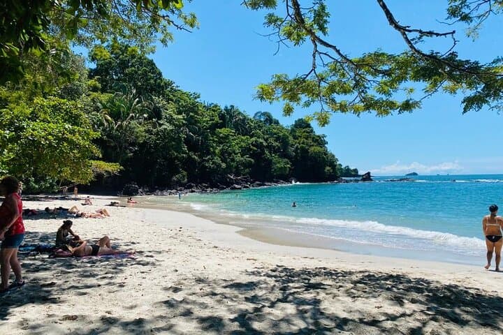 Manuel Antonio Full-Day Tour: National Park Hike, Beaches & Lunch
