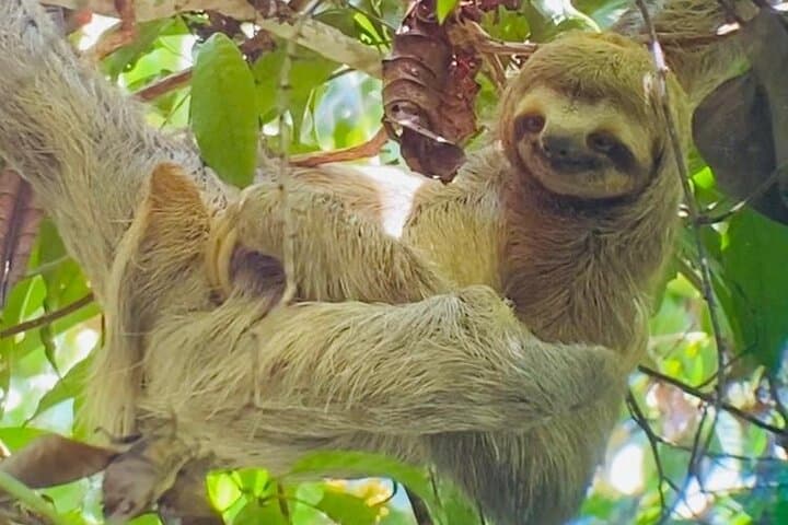 Manuel Antonio Full-Day Tour: National Park Hike, Beaches & Lunch photo 5
