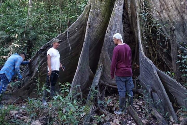 3-Day Amazon Wildlife Expedition from Iquitos: Yarapa River Camp & Pacaya-Samiria photo 5