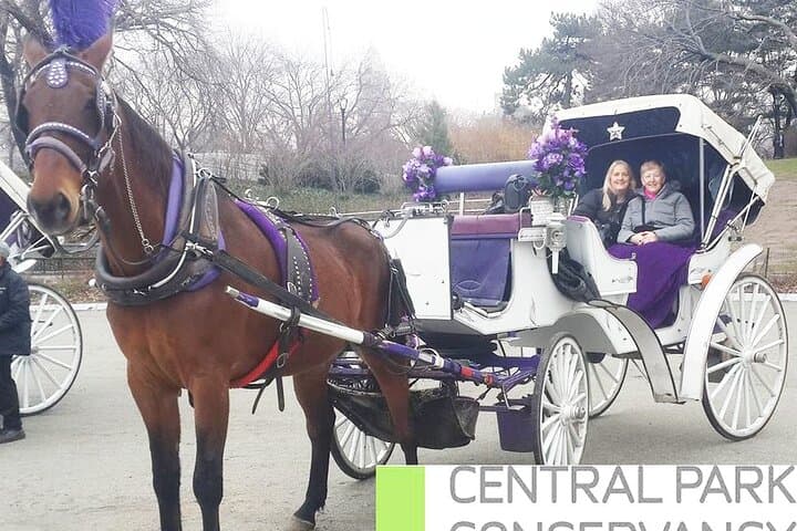 VIP Central Park Horse & Carriage Ride — Private 50-Minute Tour photo 2