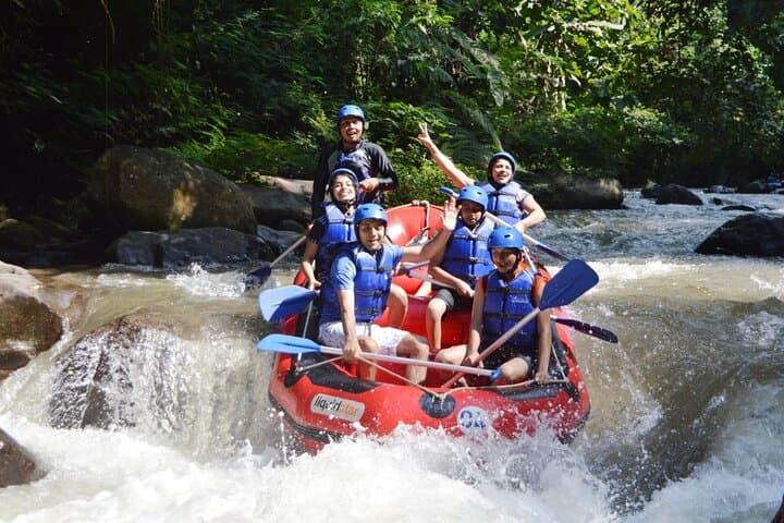 Ayung River Rafting in Ubud: Whitewater Adventure Through Bali's Jungle photo 4