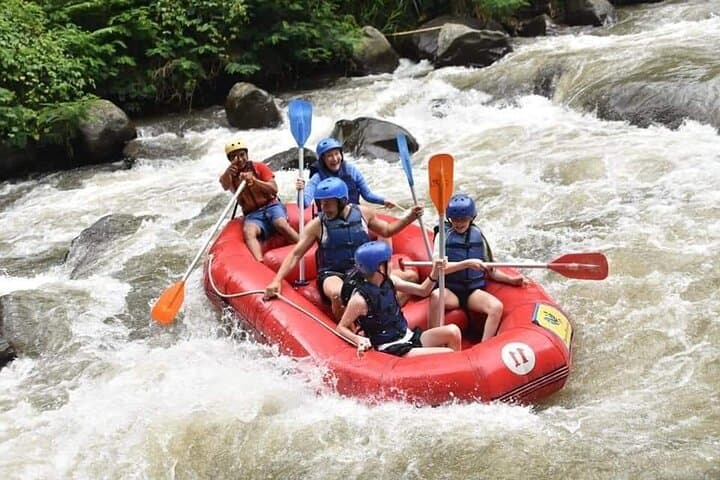Ayung River Rafting in Ubud: Whitewater Adventure Through Bali's Jungle photo 6