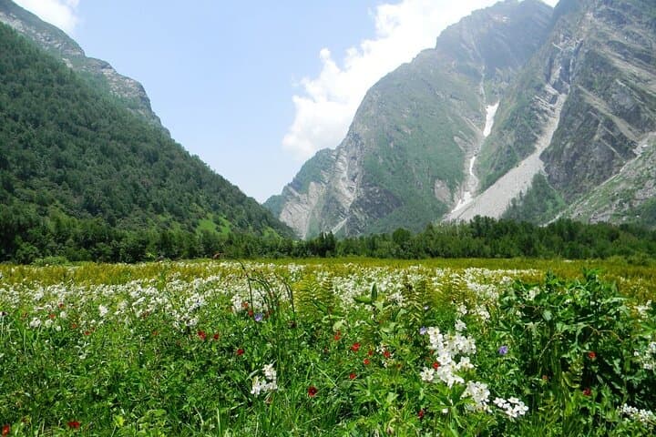 Valley of Flowers Trek: Best Time, Route & Practical Guide to Uttarakhand's Alpine Meadow