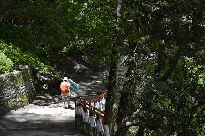 Valley of Flowers Trek: Best Time, Route & Practical Guide to Uttarakhand's Alpine Meadow photo 4