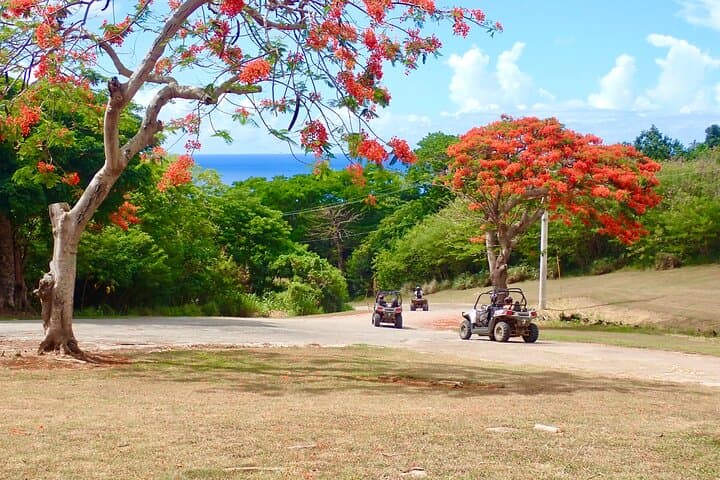Off-Road Buggy Adventure on Saipan's Northern Coast photo 6