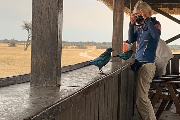 4-Day Vic Falls, Hwange & Matopos Tour — Safari, History and the Falls photo 4