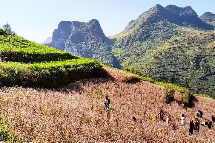 Ha Giang Loop 3-Day Easy Rider: Ma Pi Leng, Nho Que River & Homestay Adventure photo 5