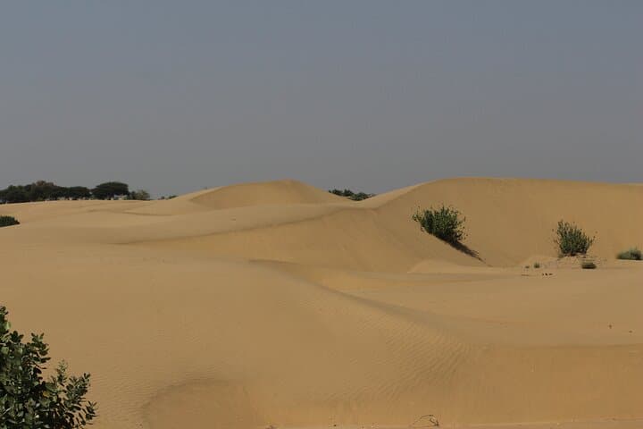 Sunset Camel Safari and Dinner in Jaisalmer's Quiet Dunes photo 4