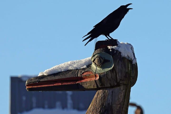 Private Ketchikan Custom Excursion: Totems, Wildlife & Local Culture (3-Hour Personalized Tour) photo 3